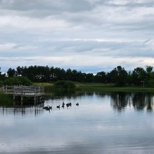 Meet your Posher, Renee